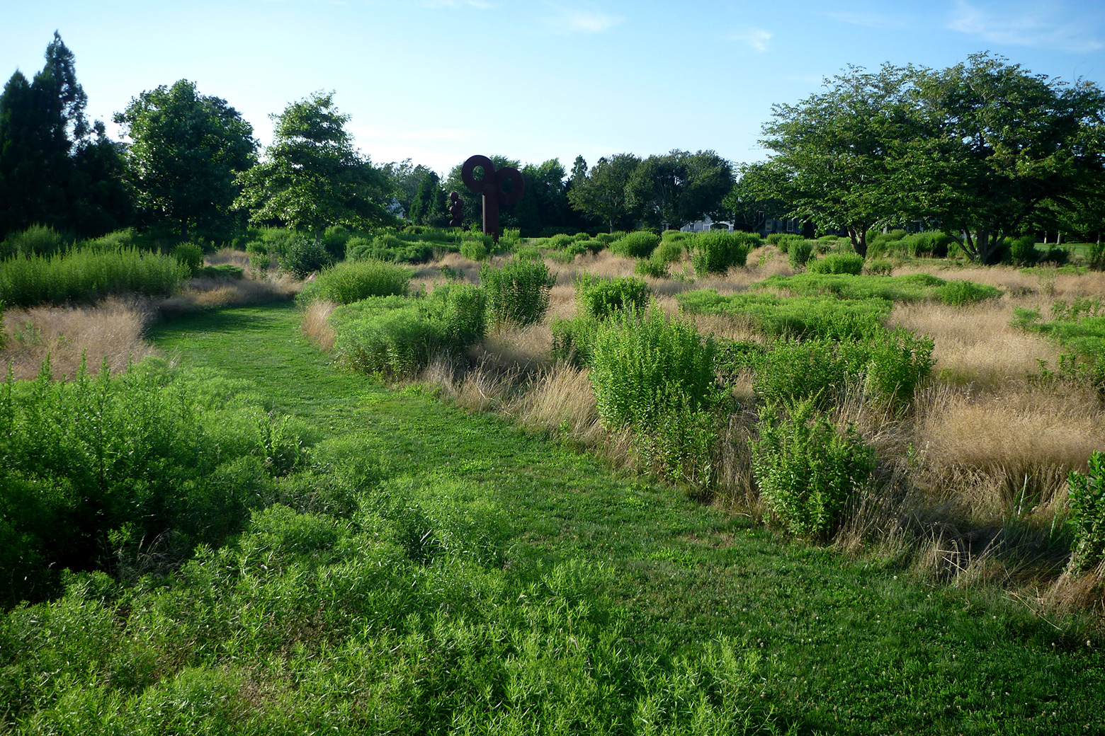 WKM-996-Gärten-und-Parks-P03